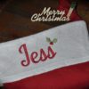 Mini Holly Embroidery Design