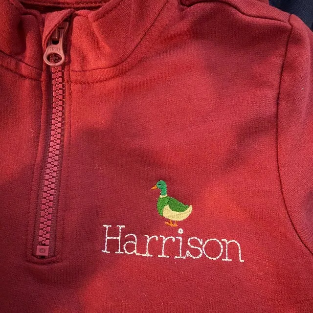 mini mallard duck image H