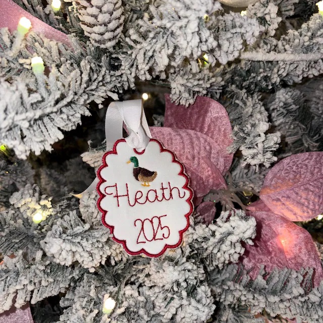 mini mallard duck image J