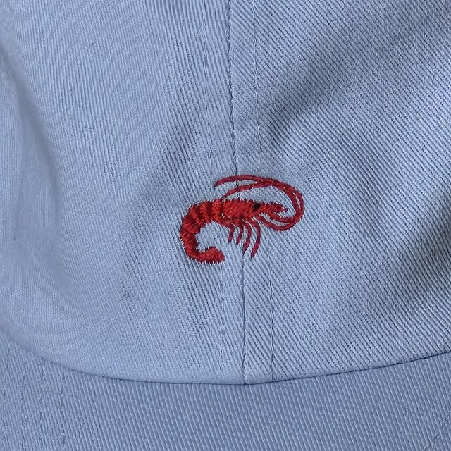 mini shrimp image D