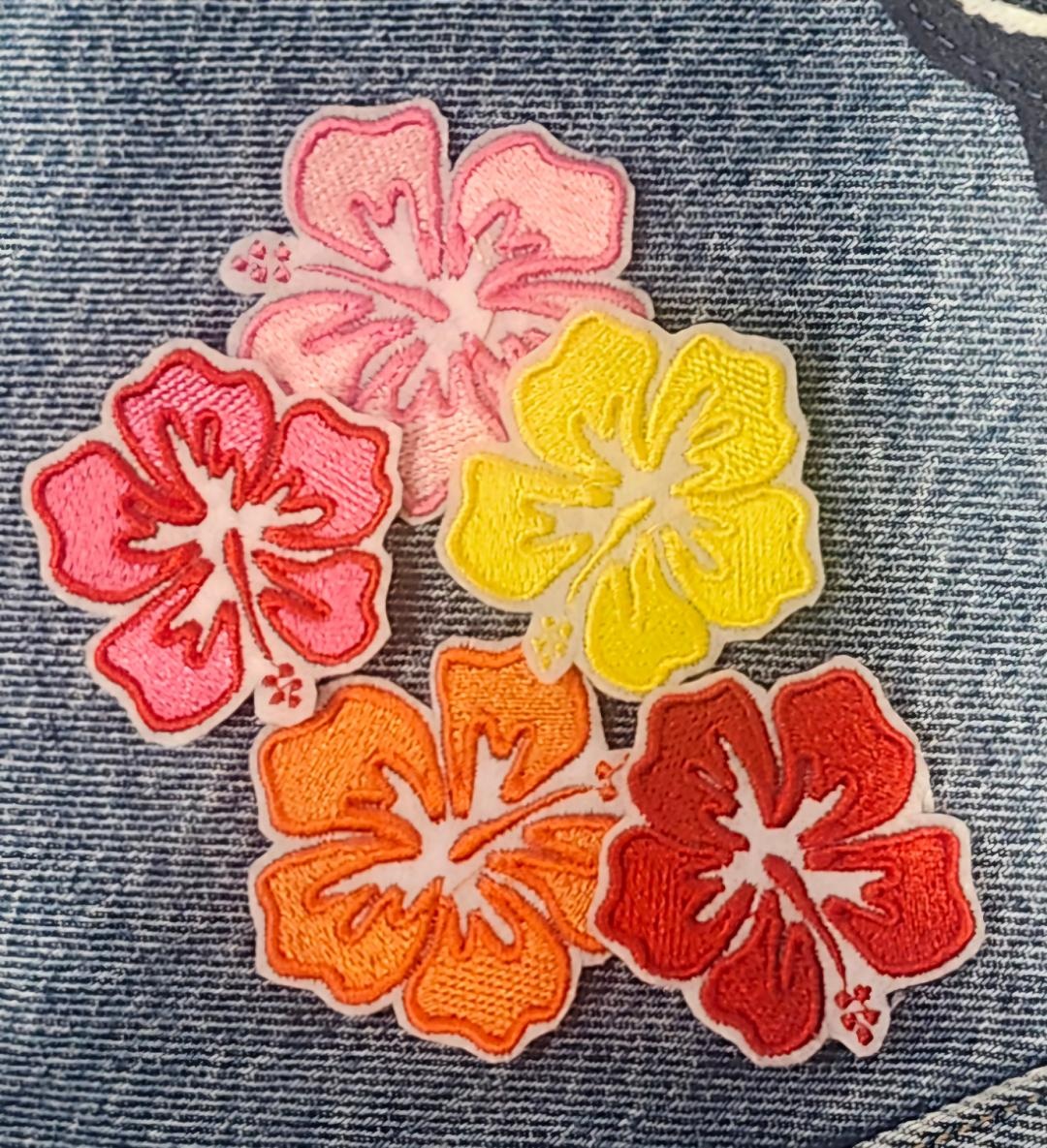 mini hibiscus b image