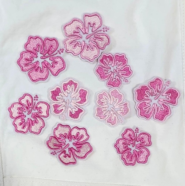 mini hibiscus b image
